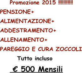     Promozione 2015 !!!!!!!!!!!
PENSIONE+
ALIMENTAZIONE+
ADDESTRAMENTO+
ALLENAMENTO+
PAREGGIO E CURA ZOCCOLI
       Tutto incluso
    € 500 Mensili 